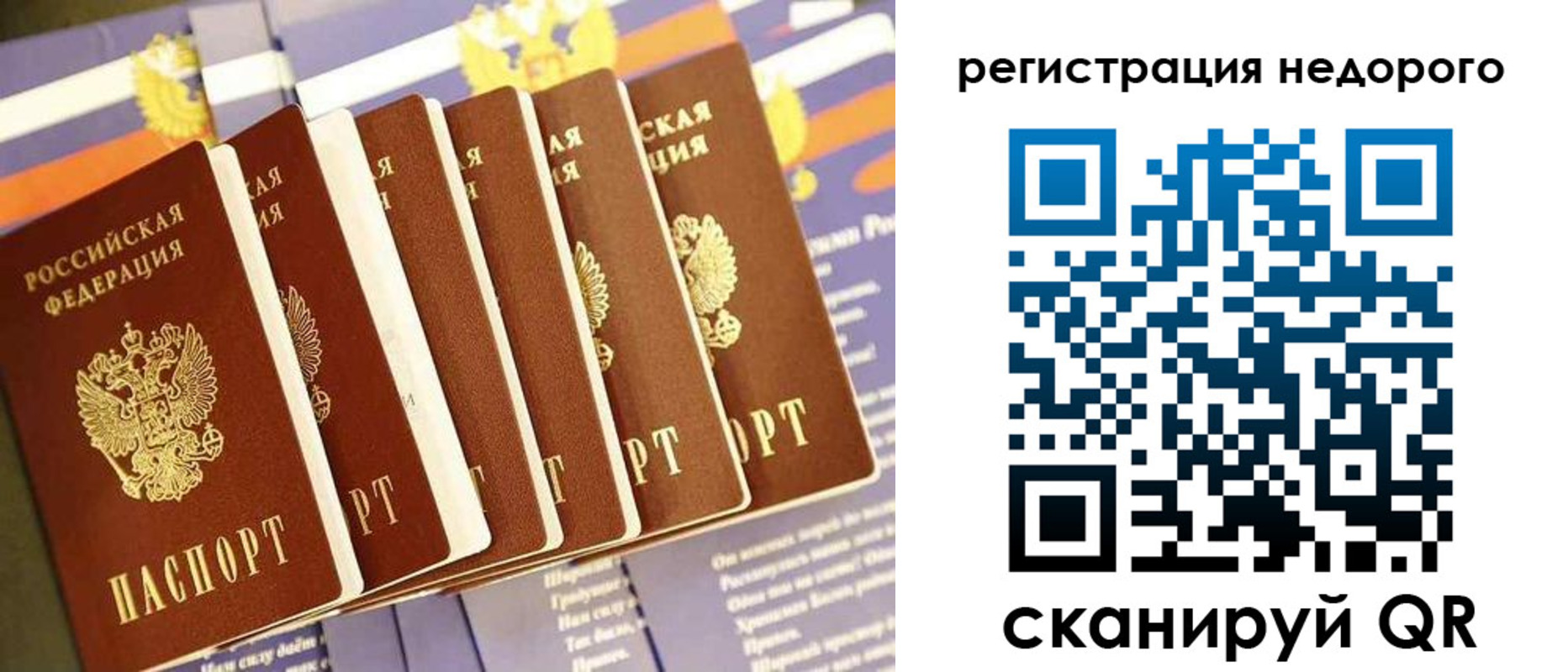 прописка в квартире в Нелидово